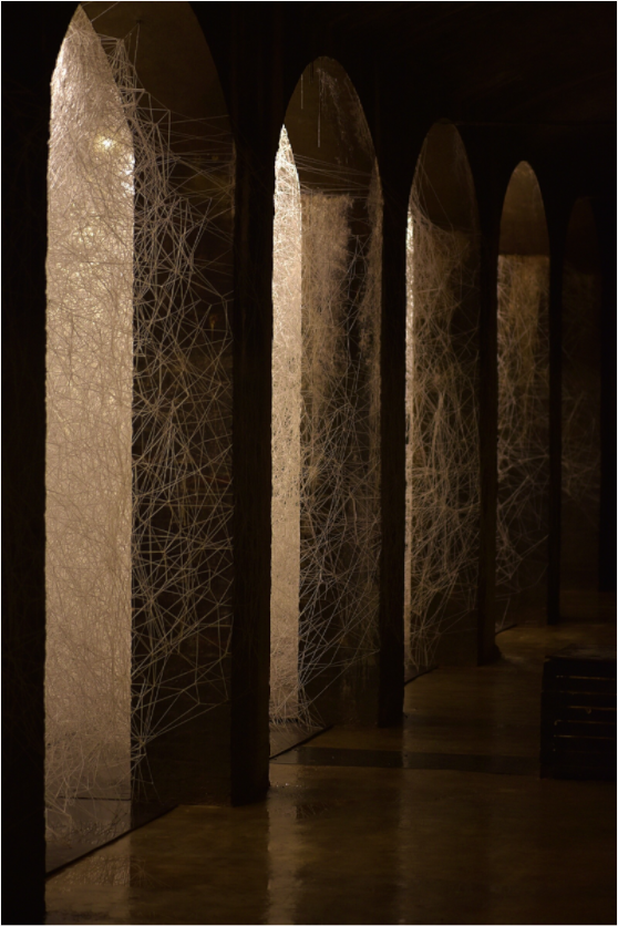 Main image Underground Spider web