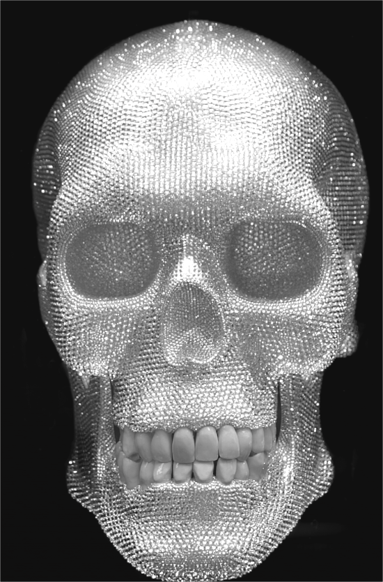 Main image Diamond Skull