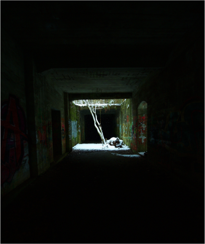 Main image The light in the darkness